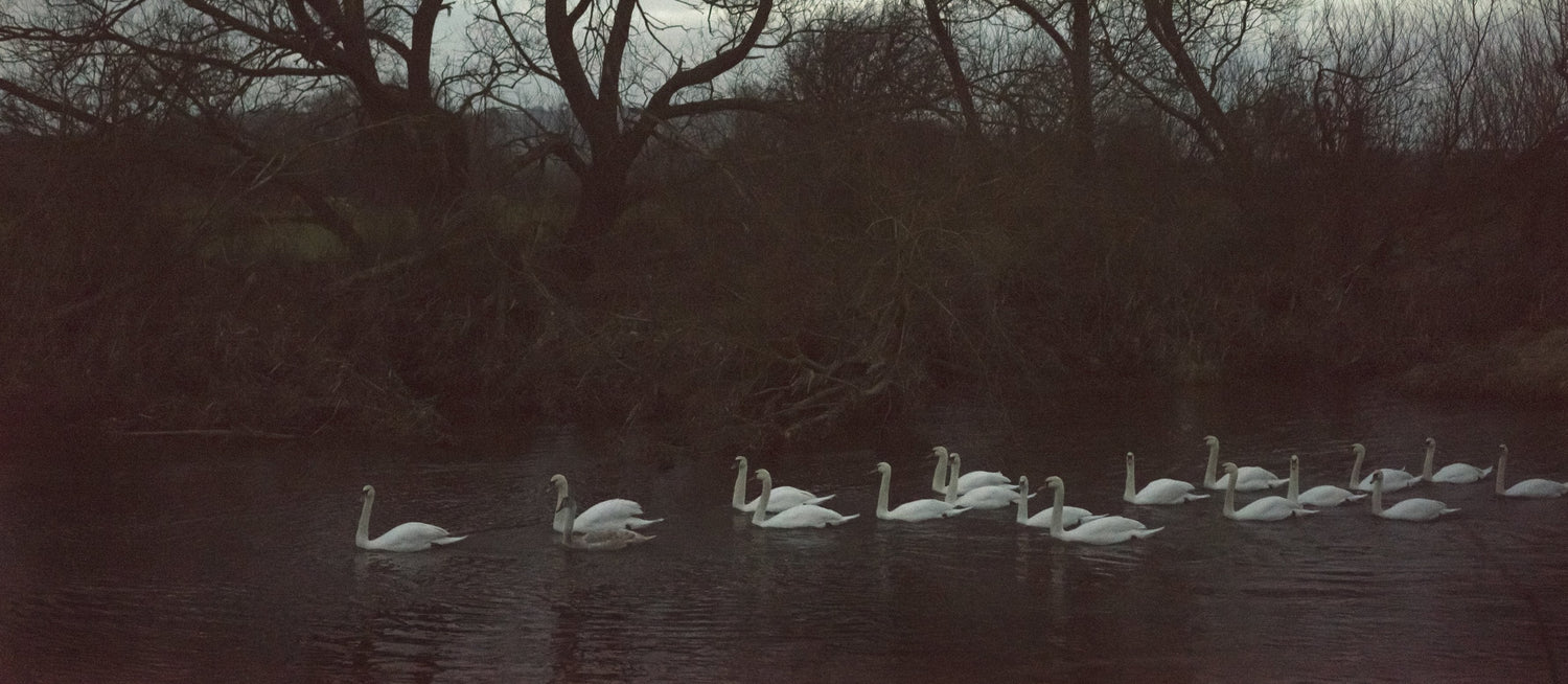 Jem Southam: A Bend In The River