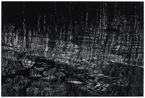 I saw the moon asleep, wandering among the reeds