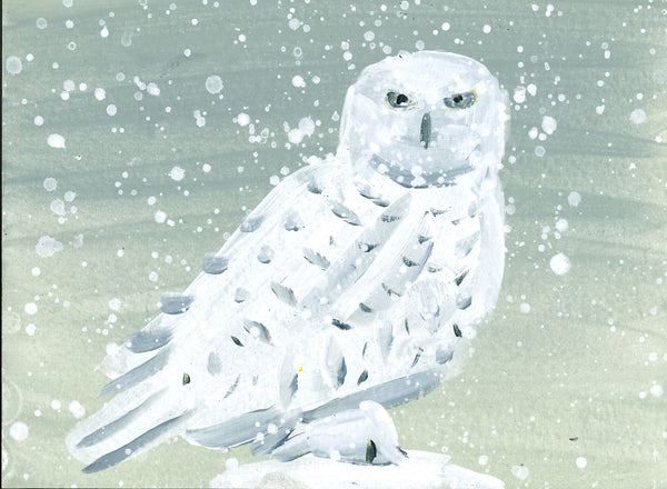 014	Snowy Owl - Susie Hamilton
