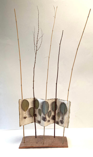 Cotinus