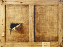Lacunae: Noah's Ark