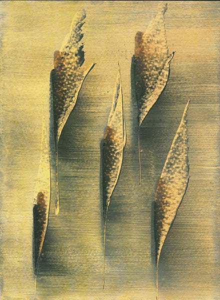 157 Marshland abstraction - Lesley Jones