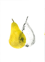 160 Golden Pear - Louise Thompson