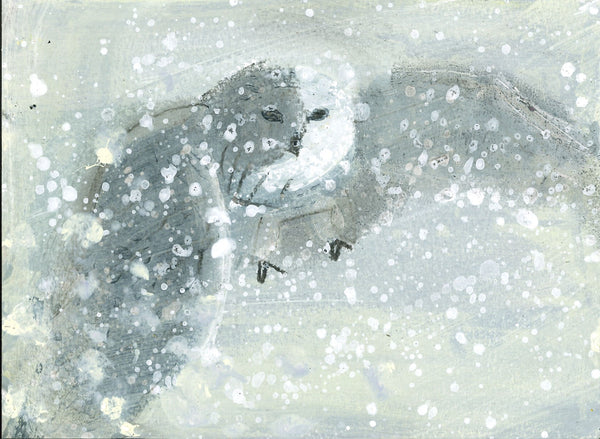 179	Snowy Owl 2 - Susie Hamilton
