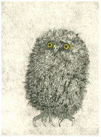 180	Little Owl - Faith Chevannes