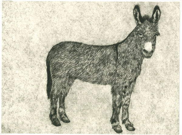 184	Little Donkey - Faith Chevannes
