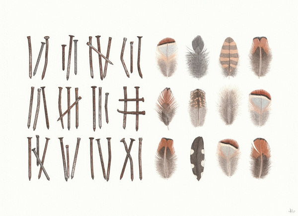 Nails and Feathers
