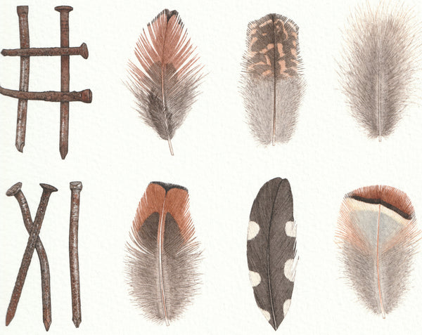 Nails and Feathers