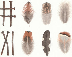 Nails and Feathers
