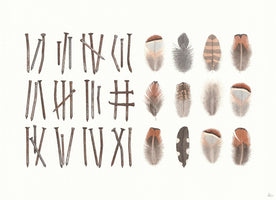 Nails and Feathers