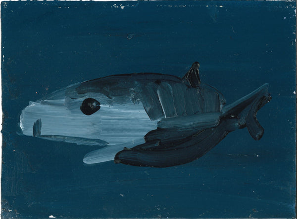 215		Greenland Shark - Susie	Hamilton