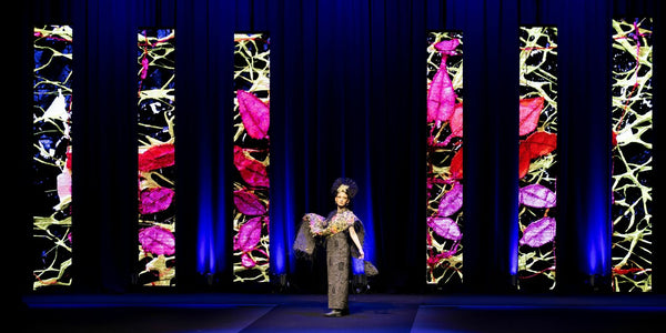 After the Bushfires: Regeneration