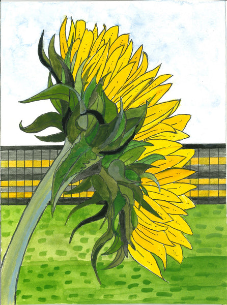 311 Sunflower - Cynthia	Lear 	RWA