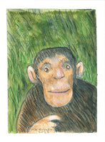 331 Wise Monkey - John	Butler 	RWA