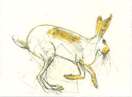 355 Hare - Endangered (ii) - Frances	Gynn 	RWA