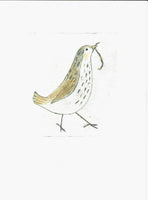 356 Early Bird - Louise	Thompson