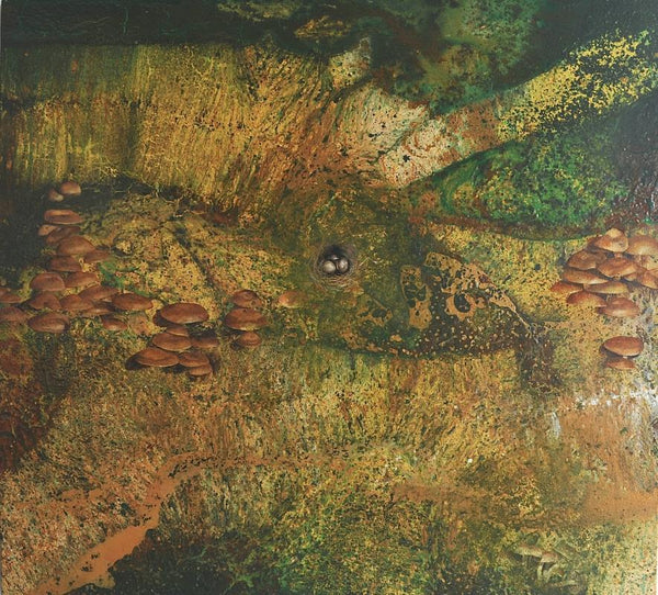 381, Michael Porter RWA- Forest Floor 25-03-20