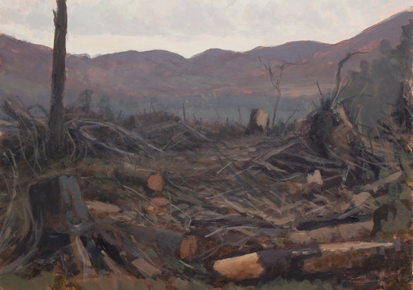 The clearing