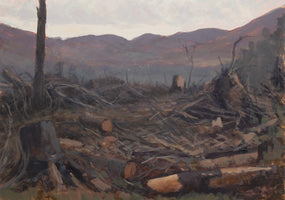 The clearing