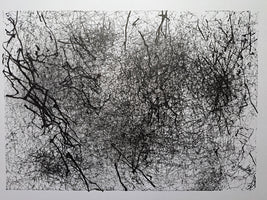 Dance Traces