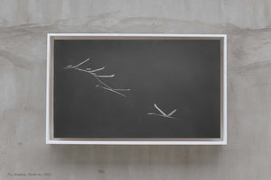 FLY