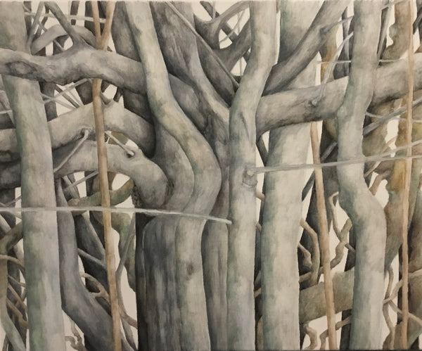 The Hedge