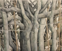 The Hedge