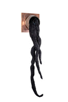 First Apparition