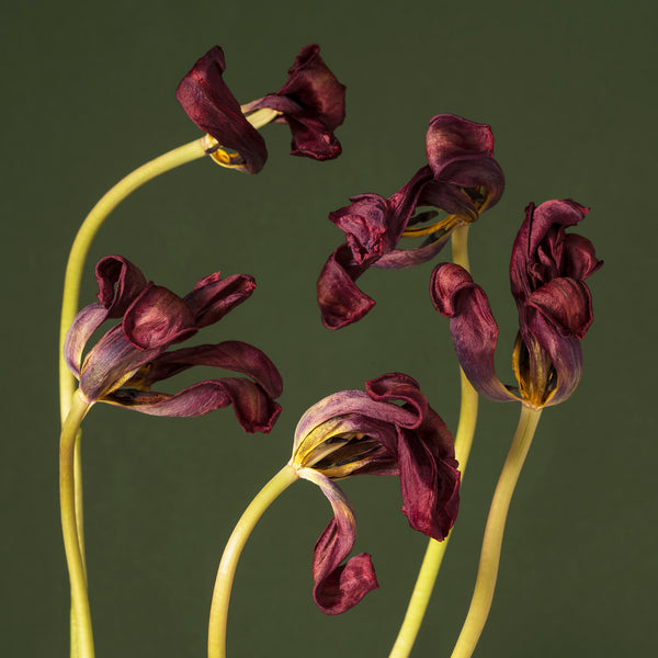 The Sense of An Ending 3