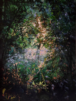 Monty's Garden