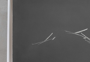 FLY