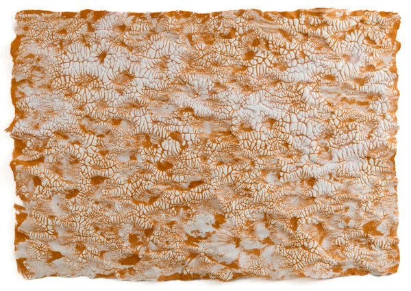 Sublimation of Mars Polar Ice II