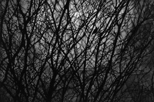 Edition - A thousand Goodbyes