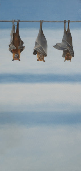 A Bat's Perspective
