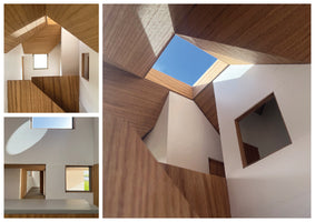 Cong House (A Spatial Study)