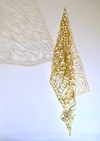 Wild Lace - Iris