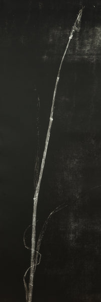 HUSK #1 by Charlotte Price RWA