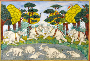 Samantha Buckley - Elephants Swimming