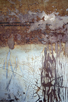 Gina Parr, Rabat III Morocco