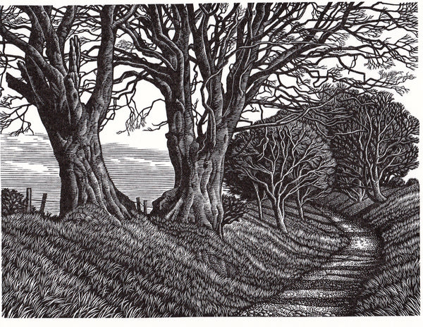 Lewesdon Hill Beeches by Howard Phipps RWA SWE