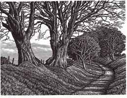 Lewesdon Hill Beeches by Howard Phipps RWA SWE