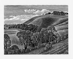 Martinsell Hill, Vale of Pewsey by Howard Phipps RWA SWE