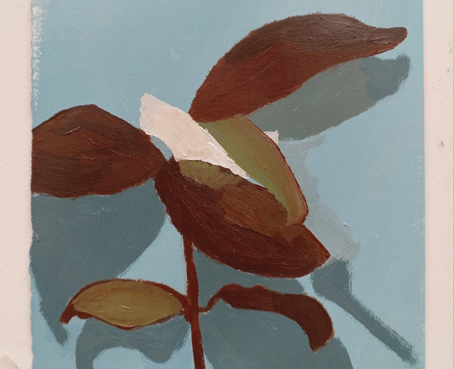 Drawing, Paint and Colour