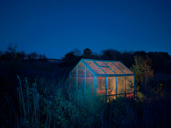 Twilight: The Blue Hour