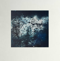 Fluorescent Micrograph Series - Sample I, by Ione Parkin RWA