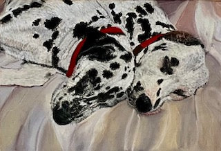 Keshani Douglas, Dozing Dalmations