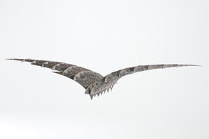 Gull Wings by Steven Hoskins RE RWA