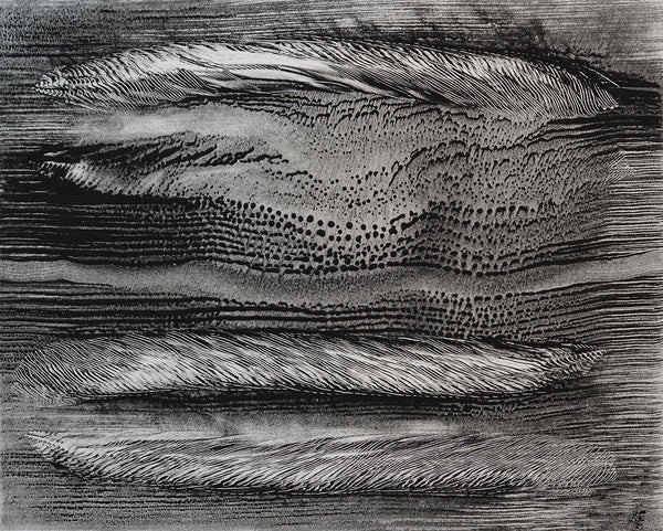 Robin Sewell, Melt