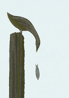 Paperbird - Una Joy Cards