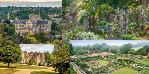FRWA Trips and Visits: Mottisfont and Winchester